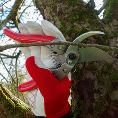 Close-up of ARS HP-VS8Z pruner blade showcasing hard chrome plating