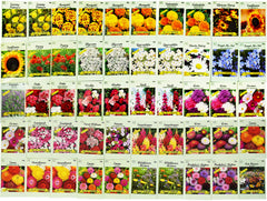 Close-up of assorted flower seeds in packets