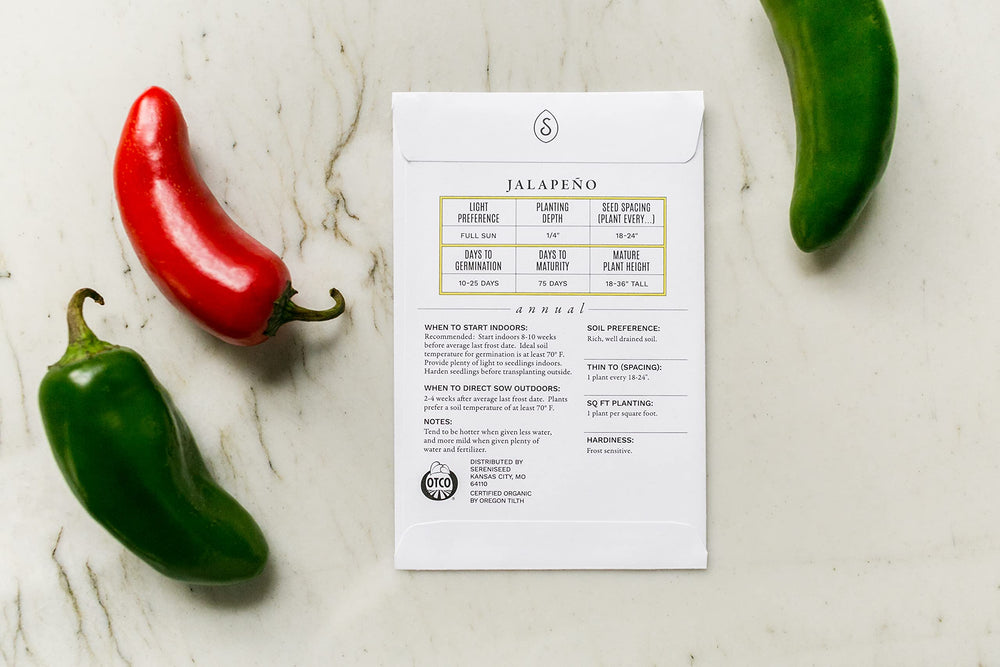 Close-up of assorted vegetable seeds included in the pack