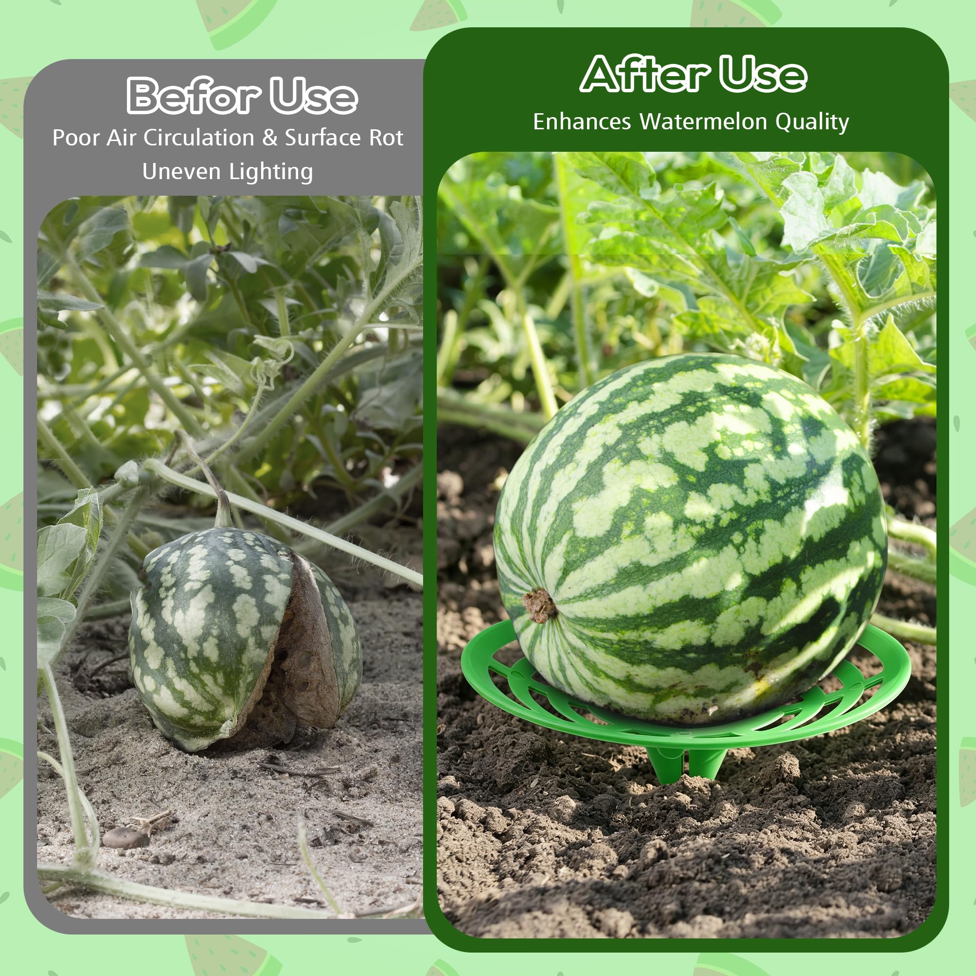 Close-up of ATLIKE Melon Cradle showing stability