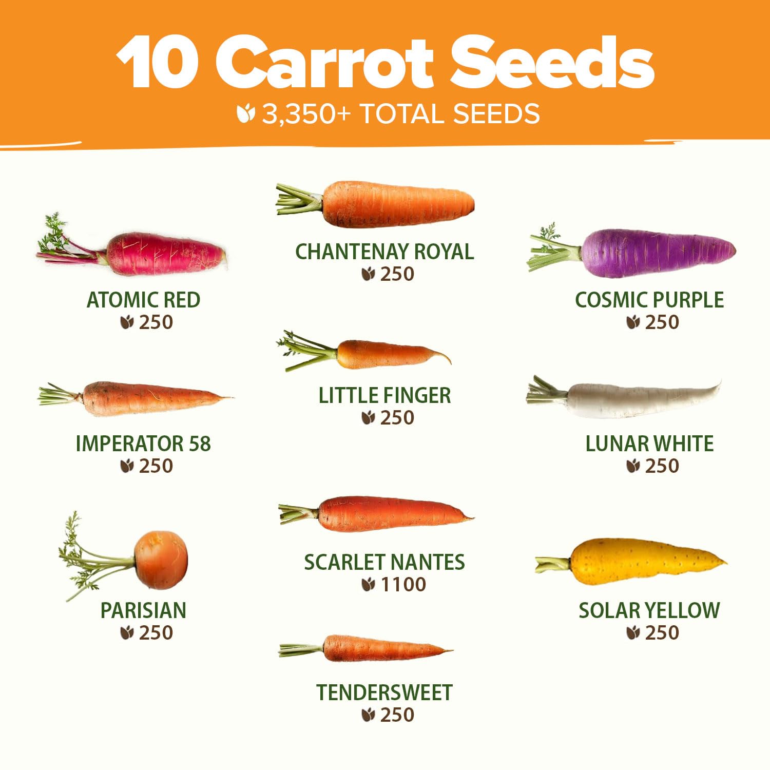 Close-up of Atomic Red carrot seeds from HOME GROWN
