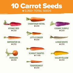 Close-up of Atomic Red carrot seeds from HOME GROWN