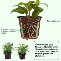 Close-up of Augshy 6 inch nursery pot with drainage holes