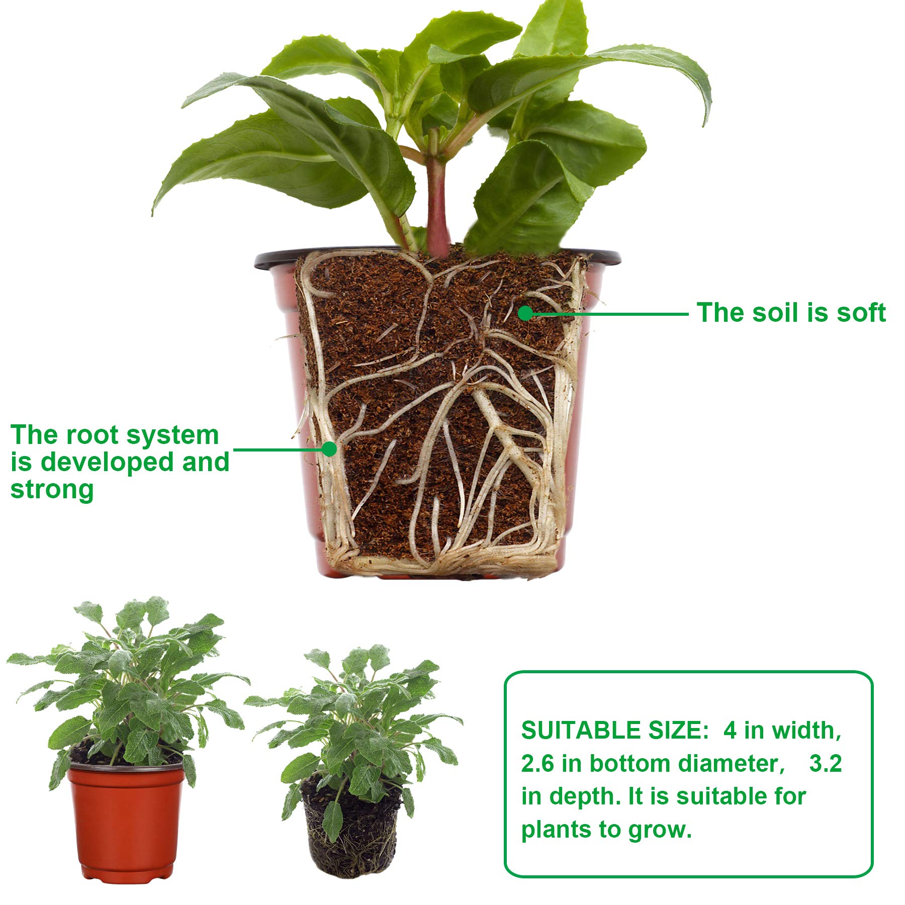 Close-up of Augshy nursery pot drainage holes