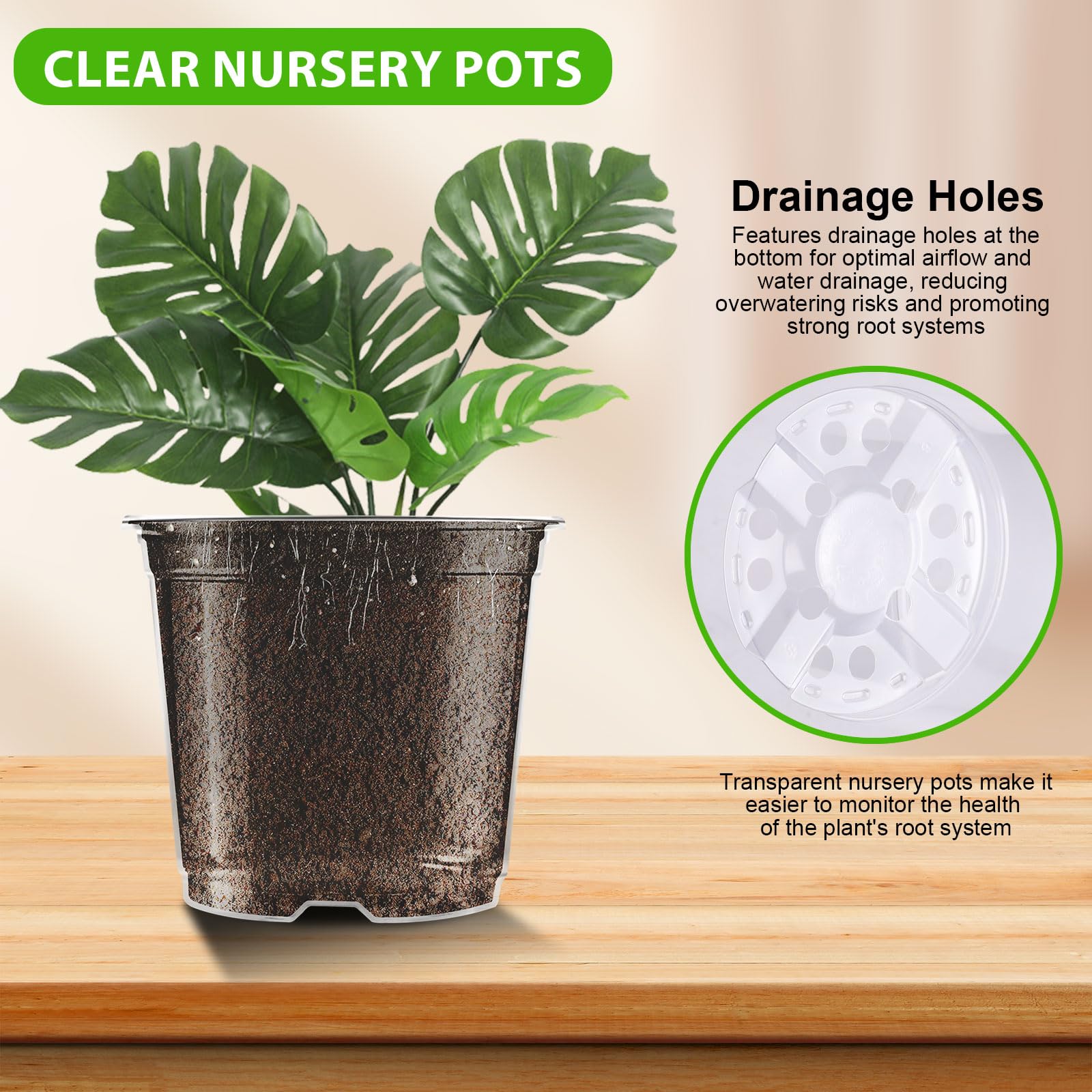 Close-up of auriikoop 3.5 inch clear nursery pot with soil