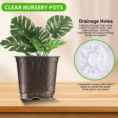 Close-up of auriikoop 3.5 inch clear nursery pot with soil
