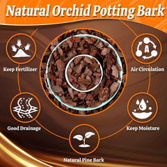 Close-up of Avalution Orchid Potting Bark pine bark texture