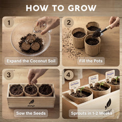 Close-up of AVERGO flower seeds included in the kit