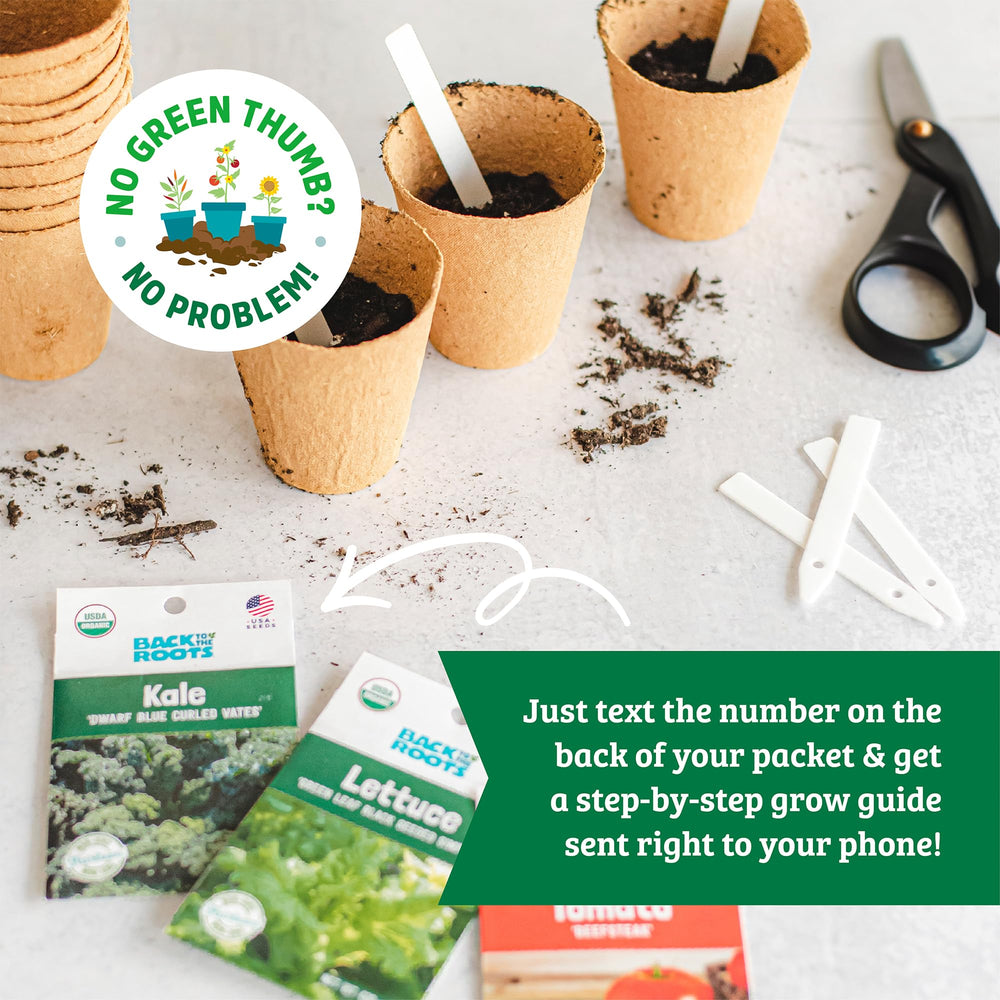 Close-up of Back to the Roots flower seeds