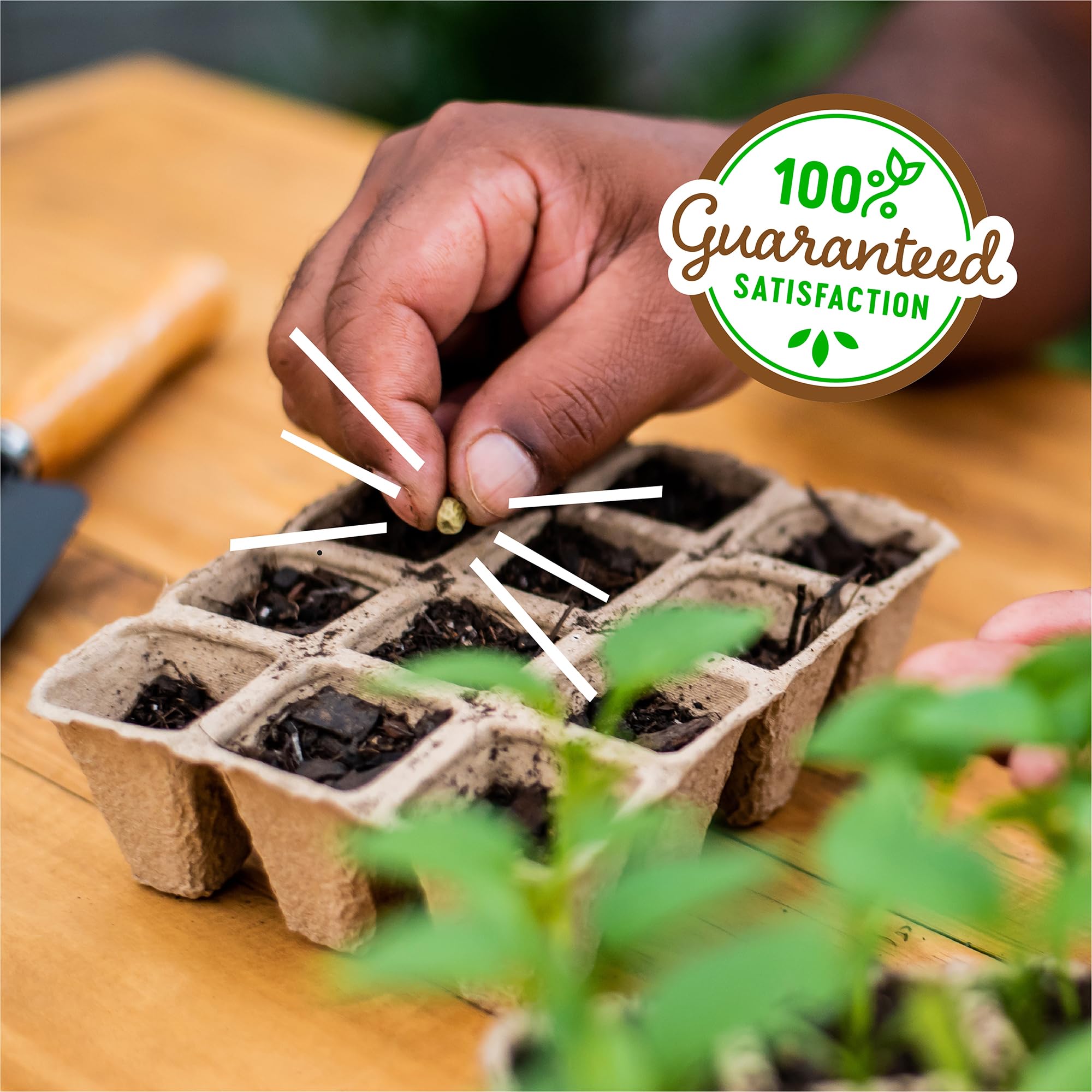 Close-up of Back to the Roots seed starter trays in use