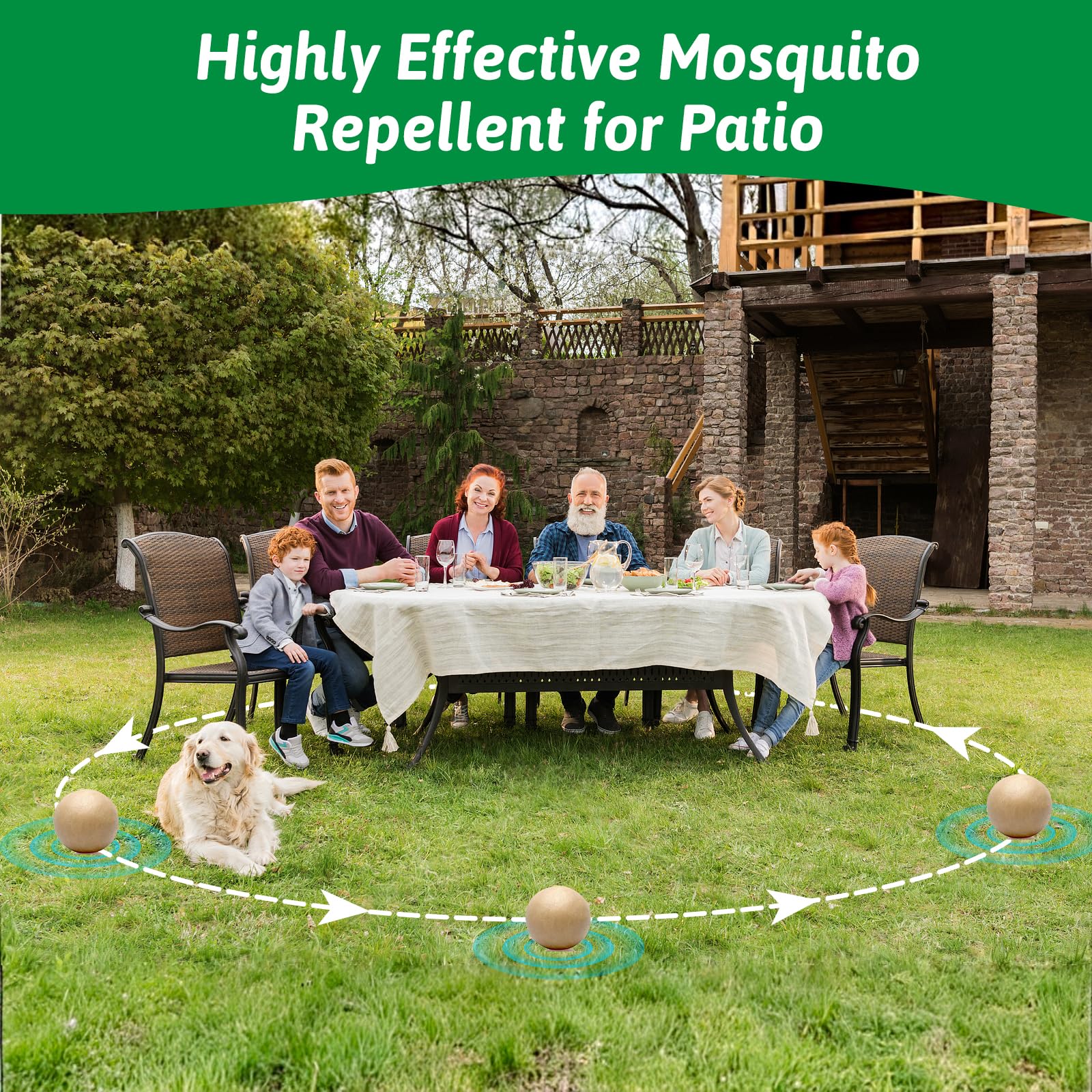 Close-up of Balancexlite Plus mosquito repellent pills