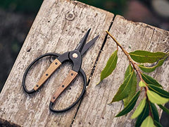 Close-up of Barebones Garden Scissors stainless steel blades