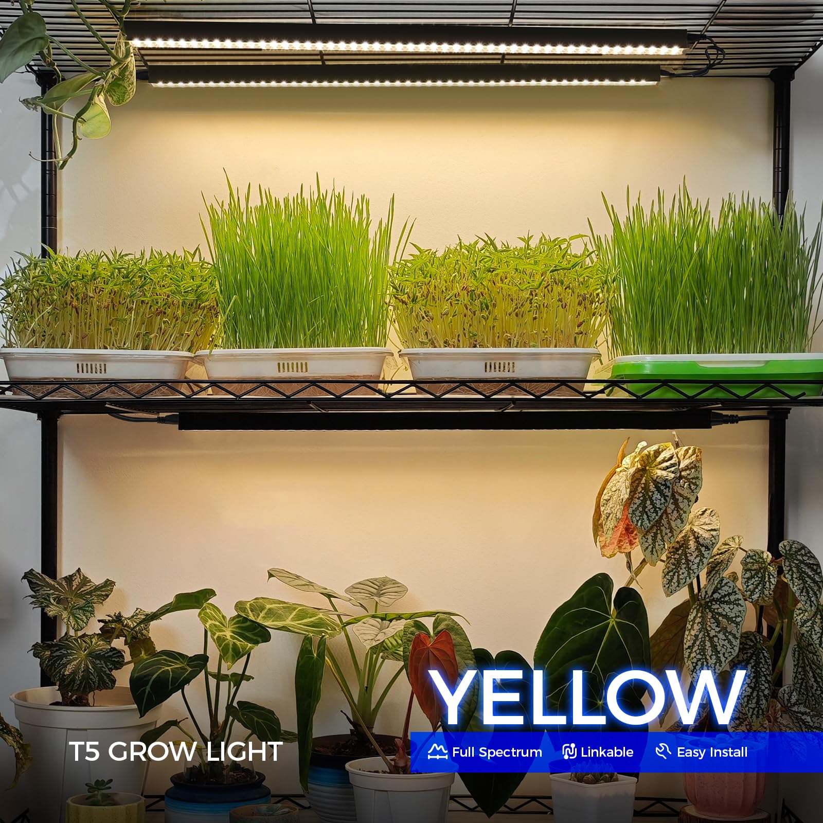 Close-up of Barrina T5 Grow Light on/off switch