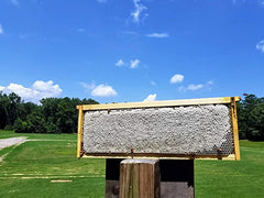 Close-up of Bee-Quick organic-approved ingredients
