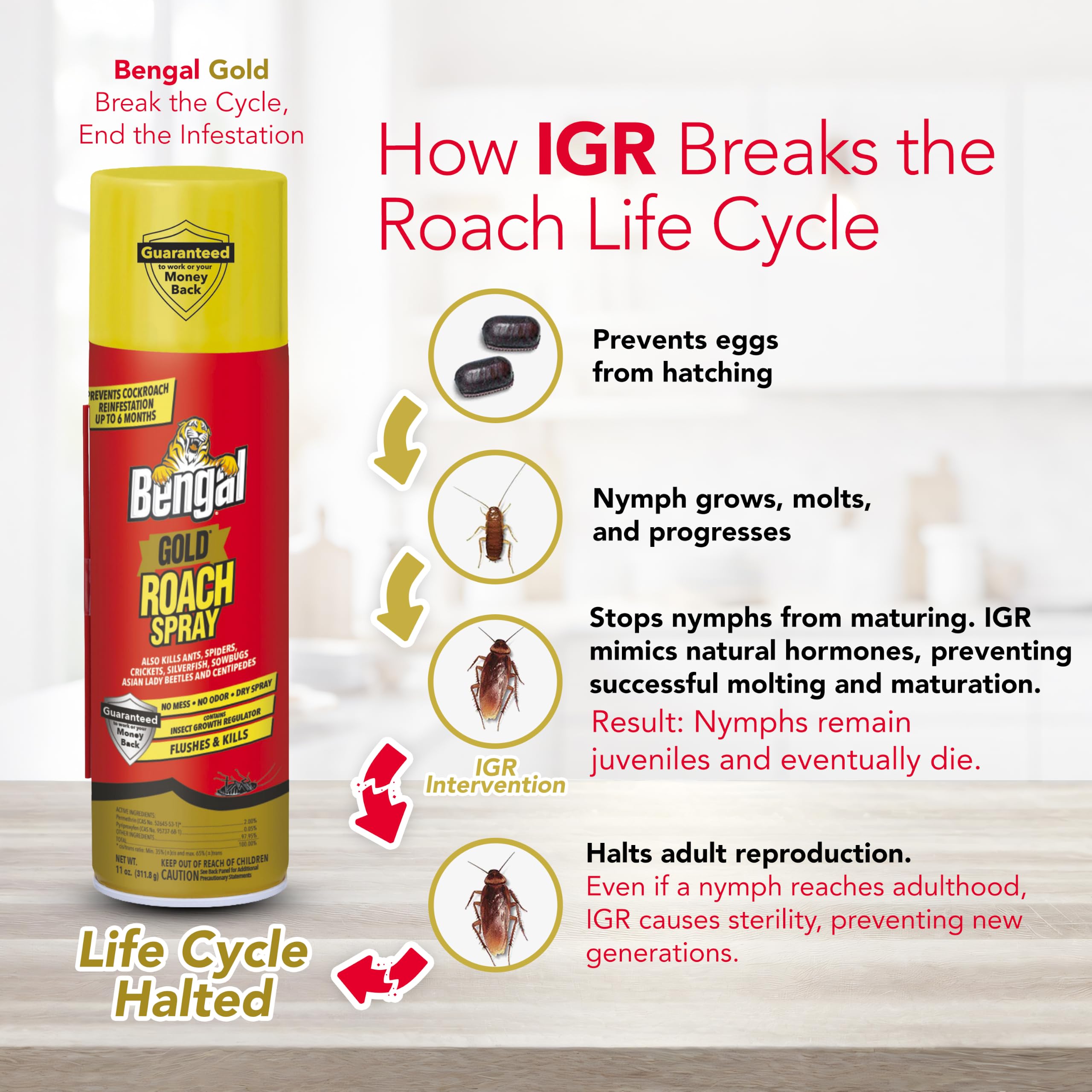 Close-up of Bengal Roach Spray nozzle and cap