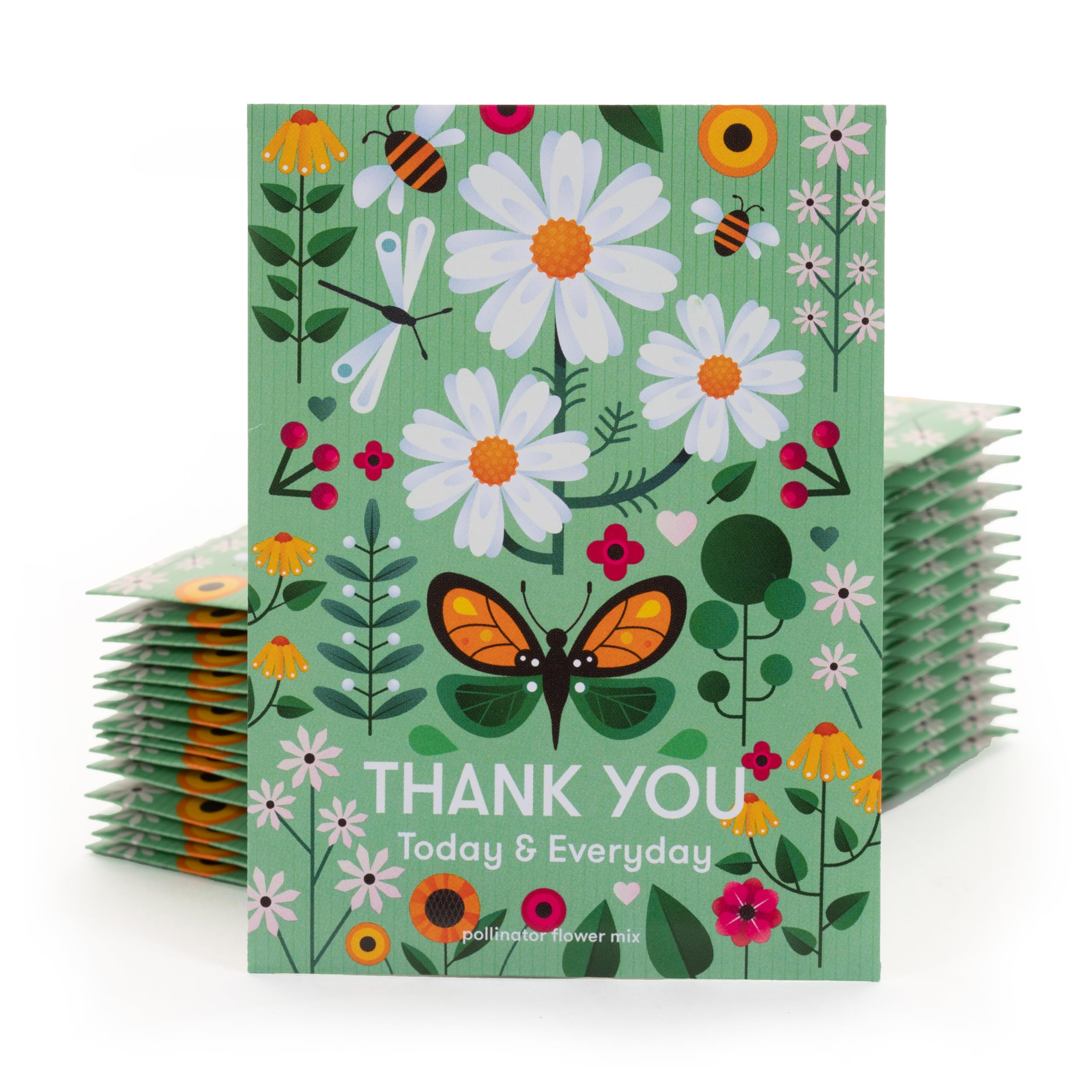 Close-up of Bentley Seed Co. wildflower seeds packet