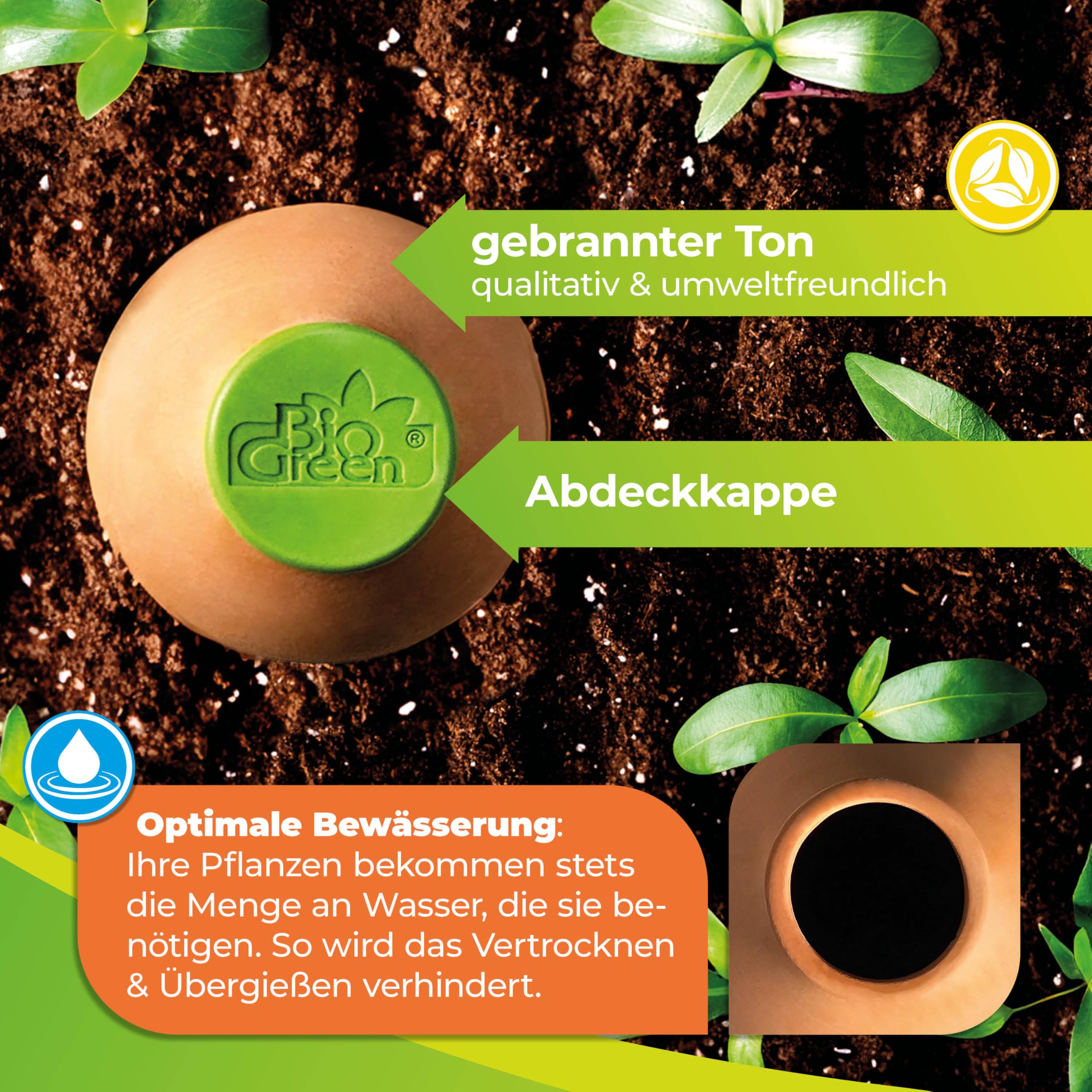 Close-up of Bio Green clay watering spike