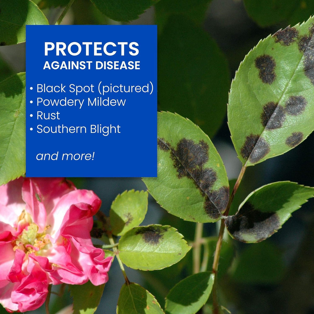 Close-up of BioAdvanced All-In-One Rose & Flower Care Concentrate label