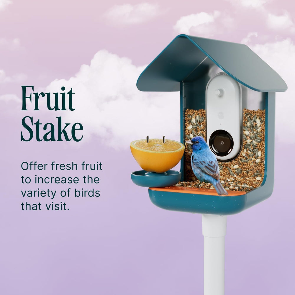 Close-up of Bird Buddy Nutrition Set showcasing its blue design