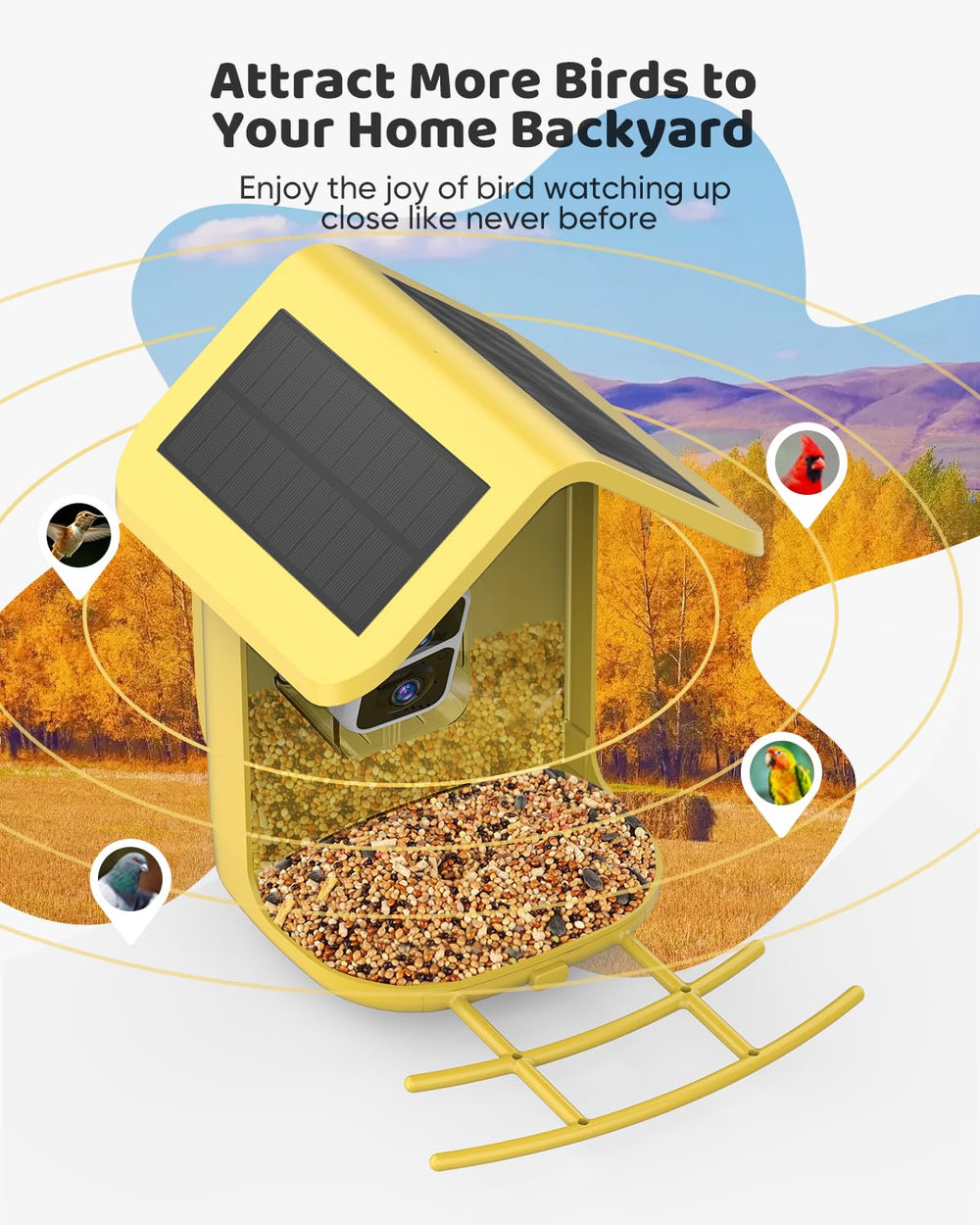 Close-up of bird footage captured by onlyfly Smart Bird Feeder