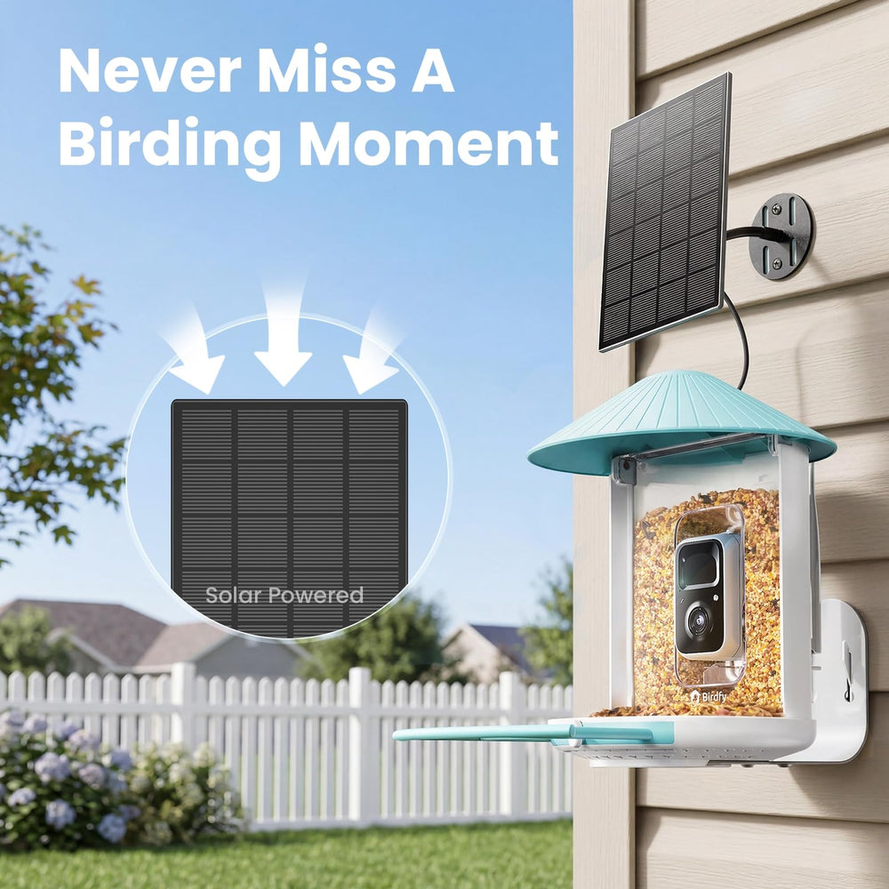 Close-up of Birdfy Bird Feeder features