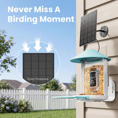 Close-up of Birdfy Bird Feeder features