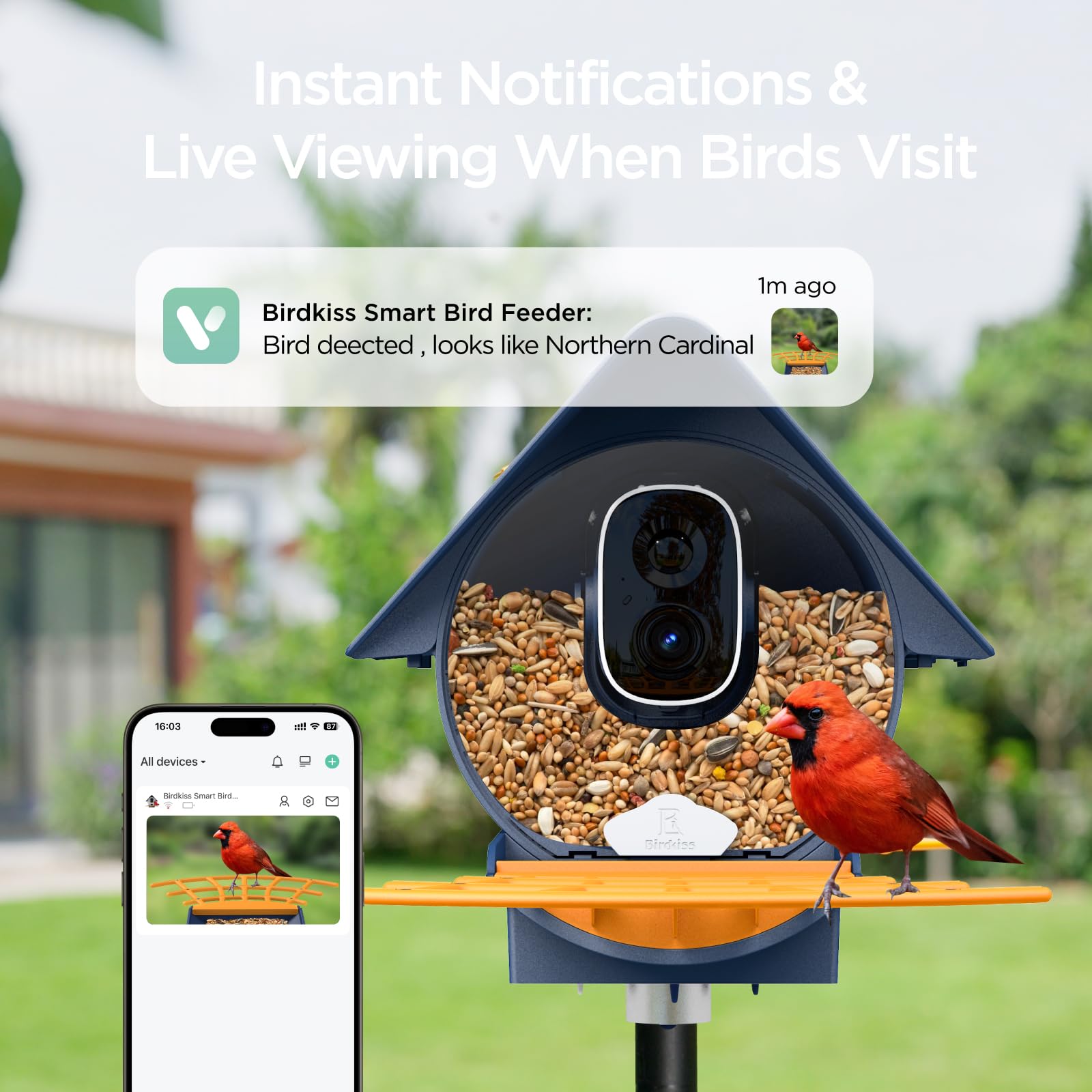 Close-up of Birdkiss Smart Bird Feeder camera and feeding area