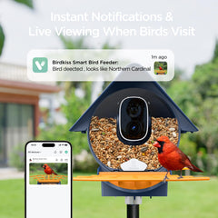 Close-up of Birdkiss Smart Bird Feeder camera and feeding area