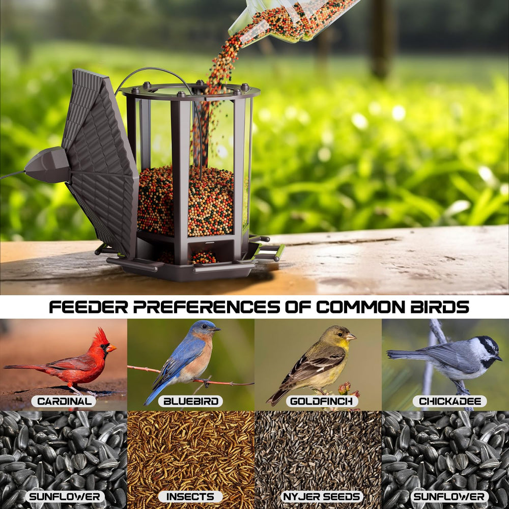 Close-up of Birdream Bird Feeder transparent panel