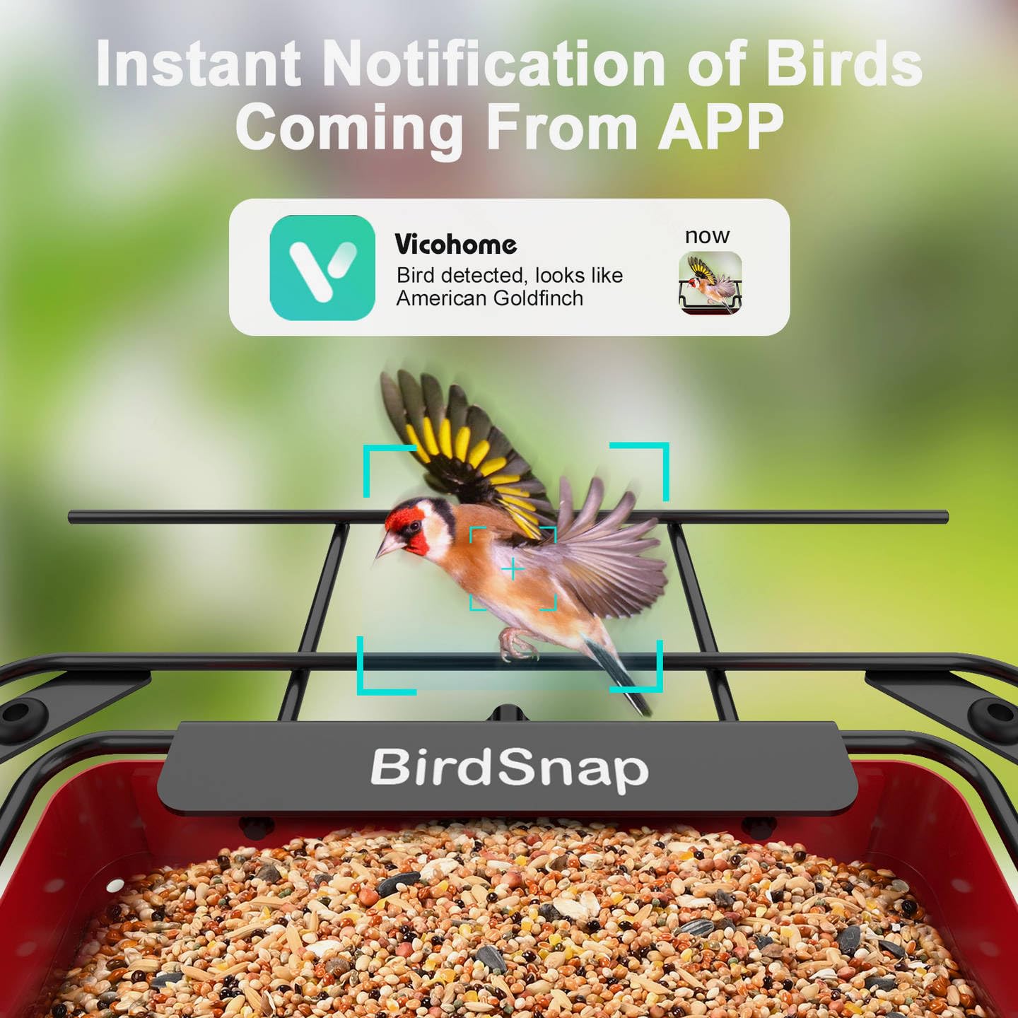 close-up of birdsnap APS Metal Bird Feeder showing solar panel
