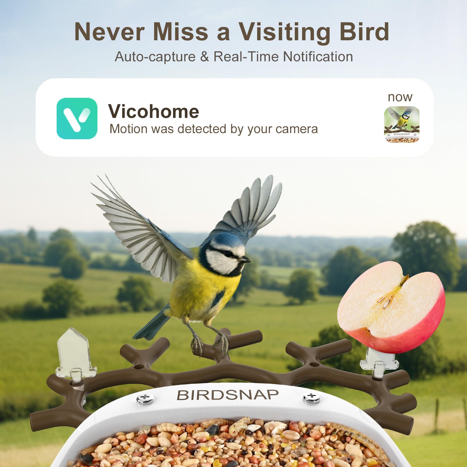 Close-up of Birdsnap camera lens and birdseed compartment