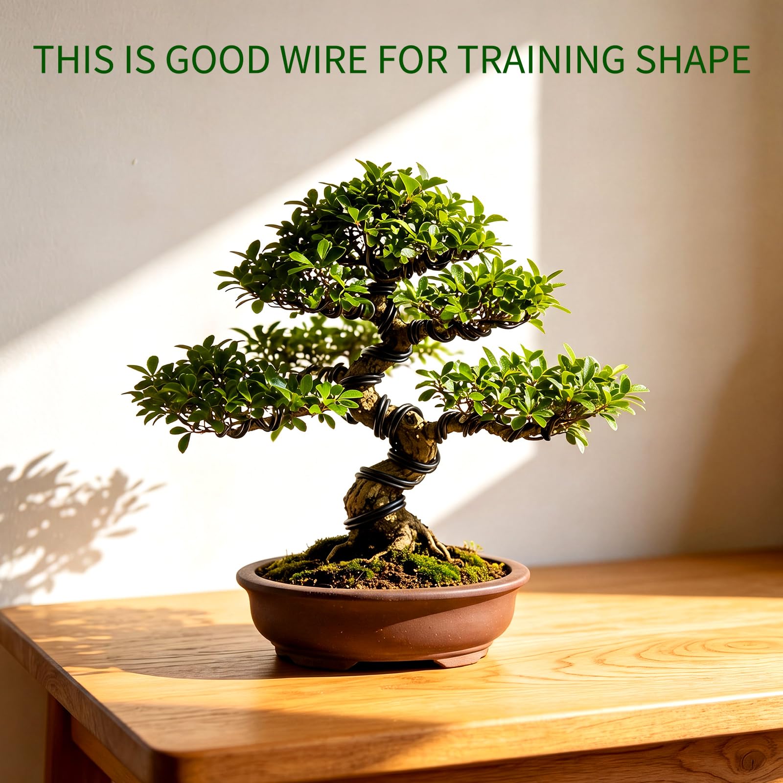 Close-up of black 4mm aluminum bonsai wire