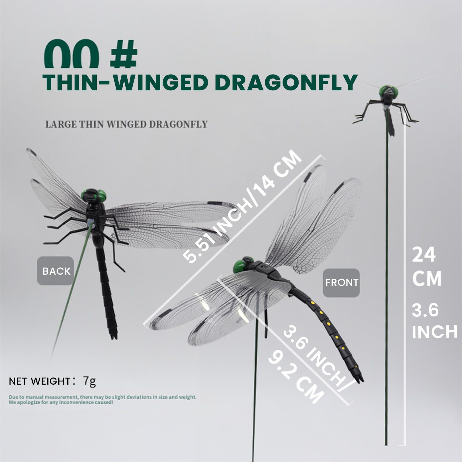 Close-up of Black Dragon Fly Clip wings