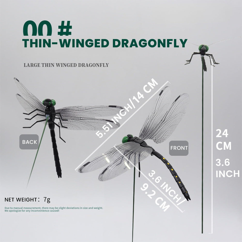 Close-up of Black Dragon Fly Clip wings