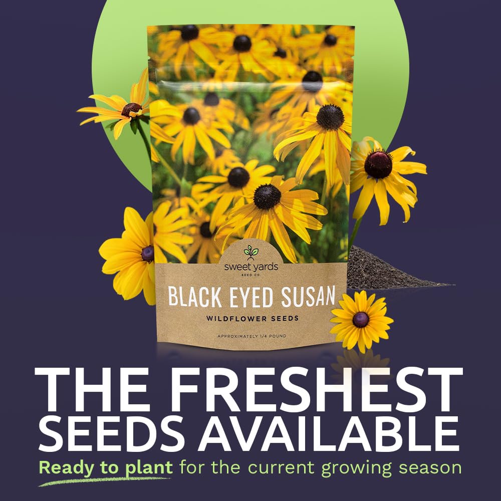 Close-up of Black Eyed Susan seeds in a bulk bag