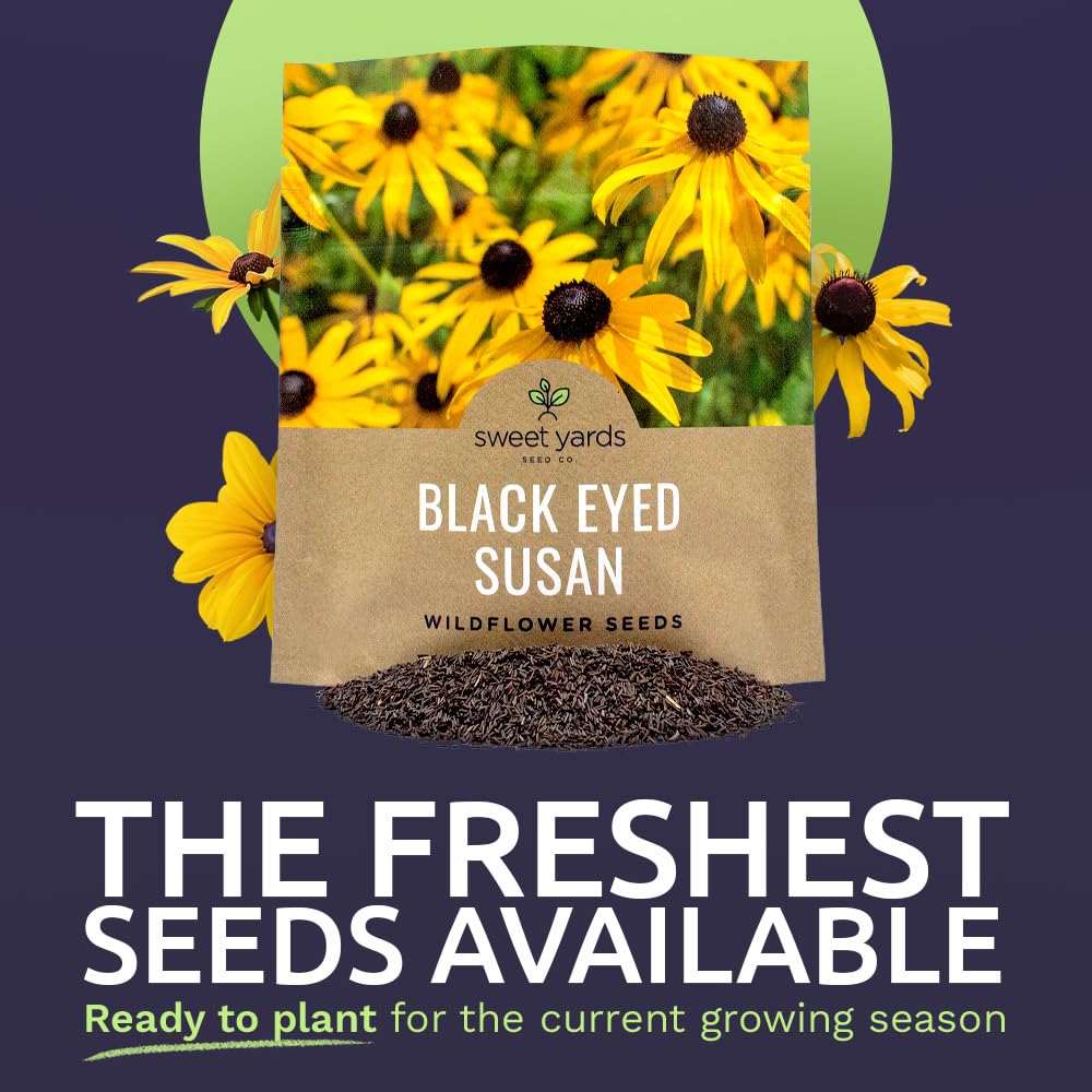 Close-up of Black Eyed Susan seeds in the packet