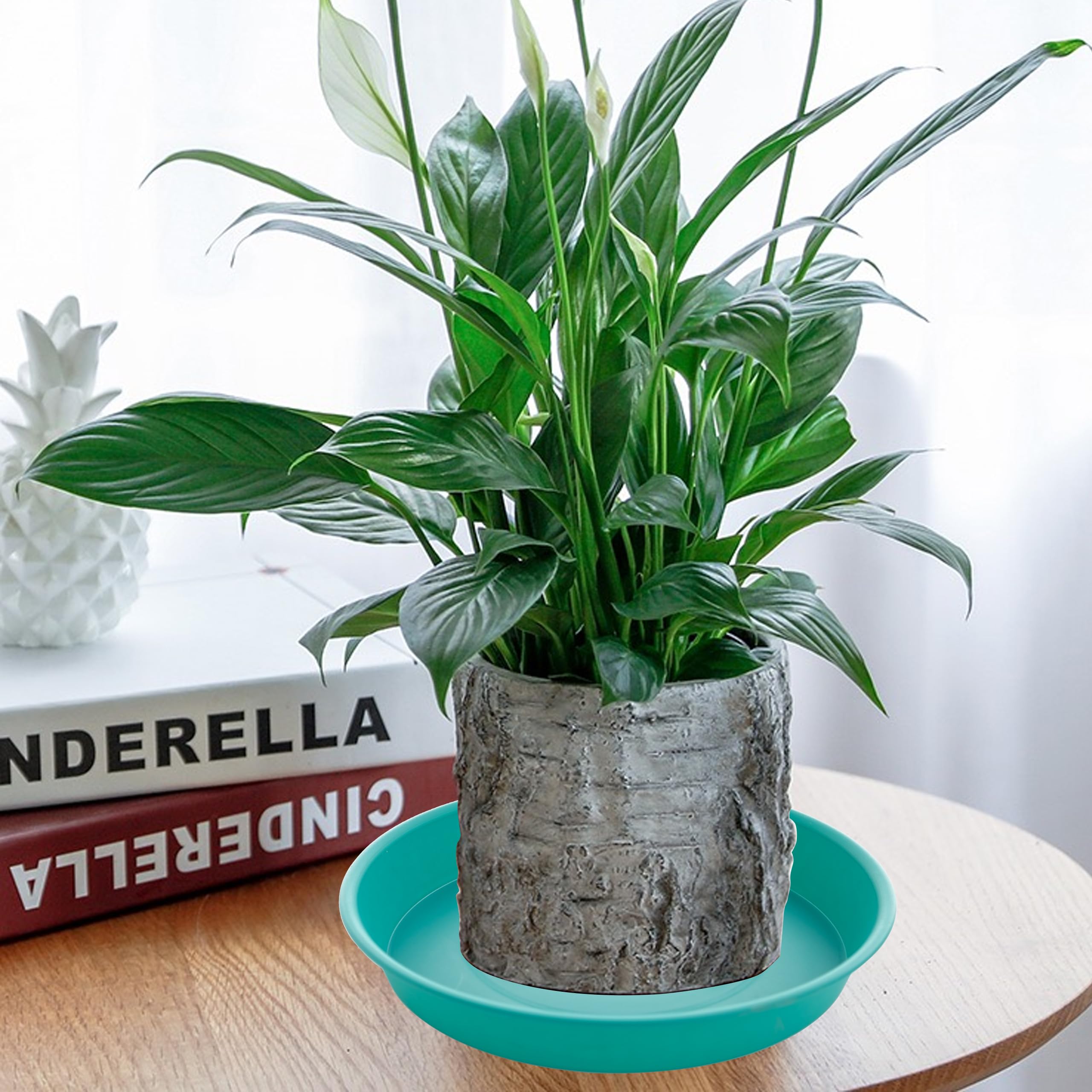 Close-up of Bleuhome 8 Inch Plant Saucer showing details