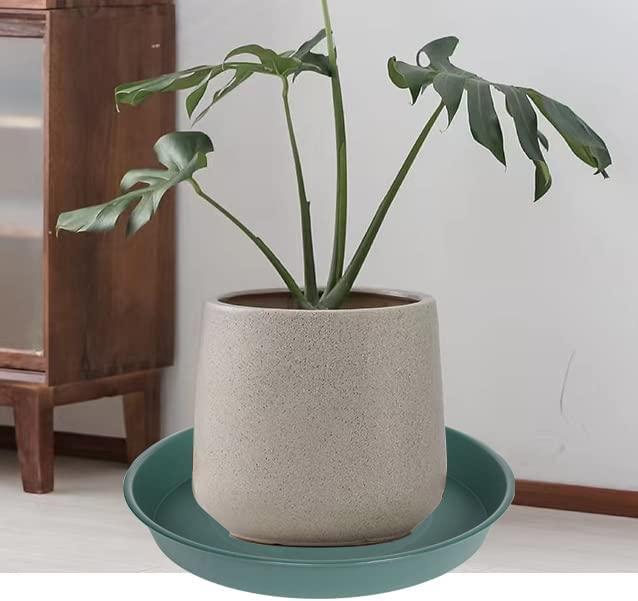 Close-up of Bleuhome plant saucer showing matte finish