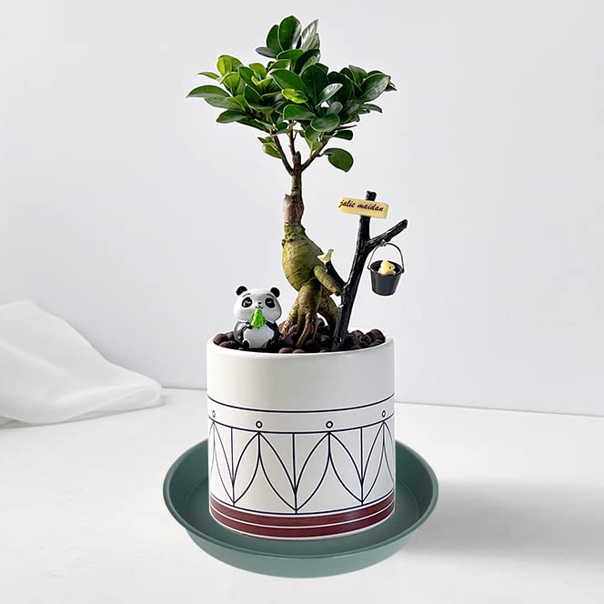 Close-up of Bleuhome plant saucer texture and finish