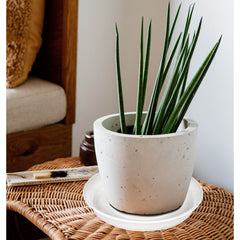 Close-up of Bleuhome plastic plant saucer texture