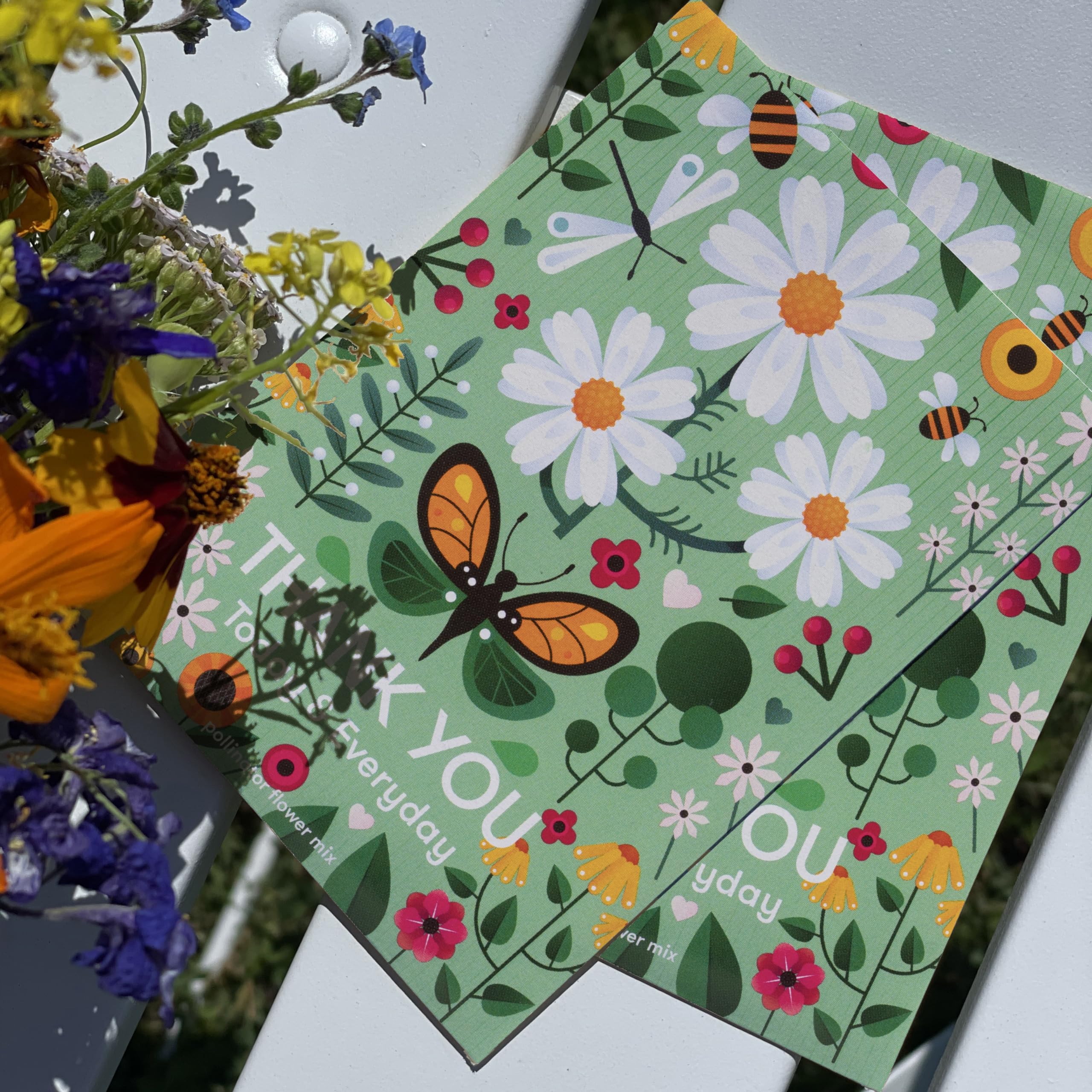 Close-up of blooming wildflowers from seed packet