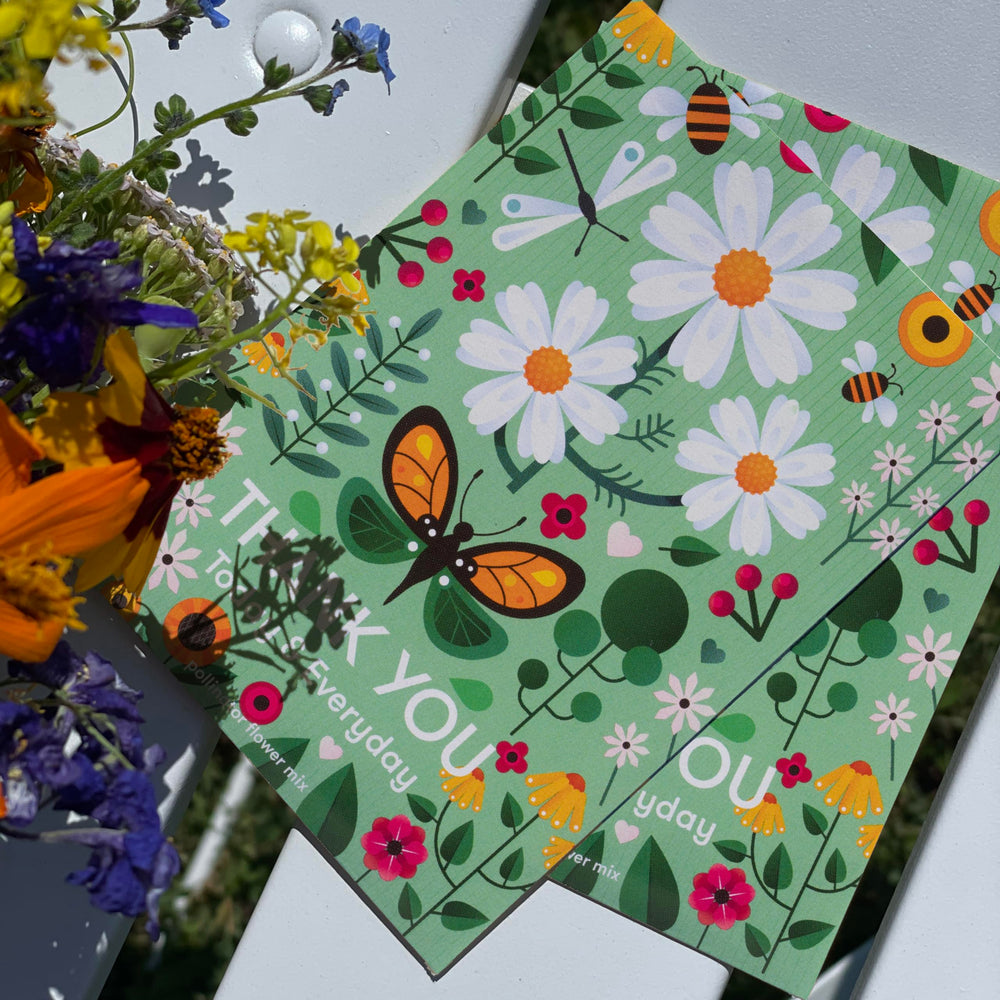 Close-up of blooming wildflowers from seed packet
