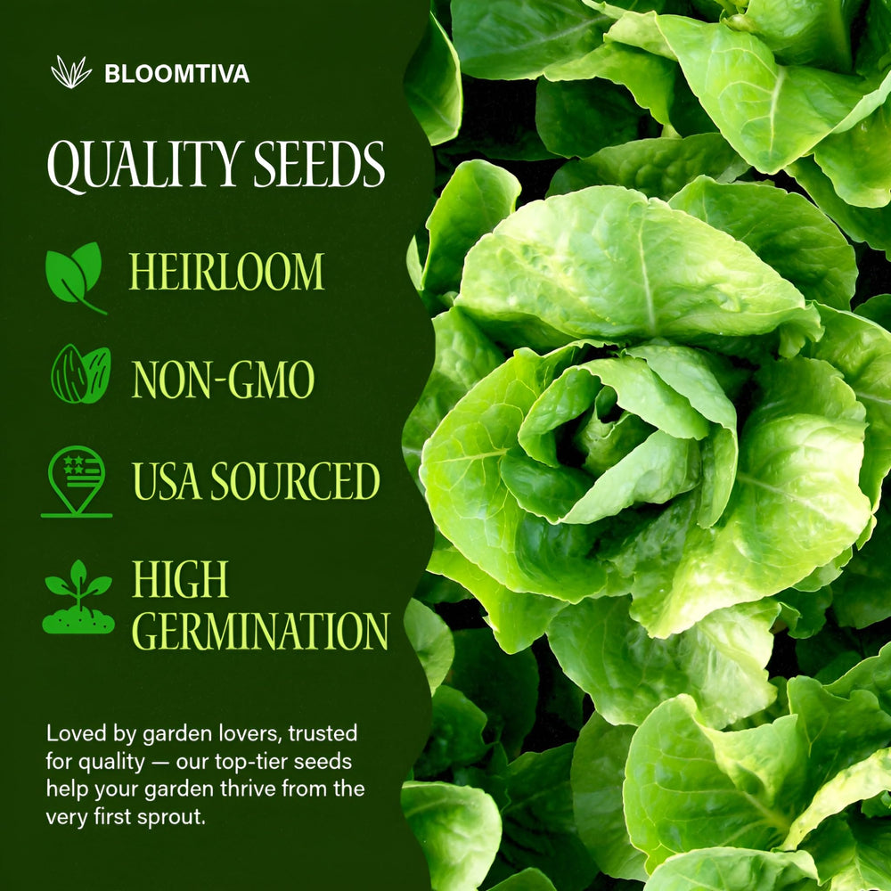 Close-up of Bloomtiva Romaine Lettuce Seeds in packaging