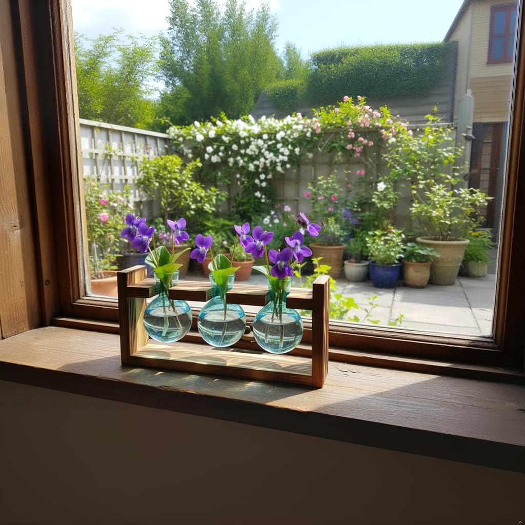 Close-up of blue glass bulb vase in propagation station