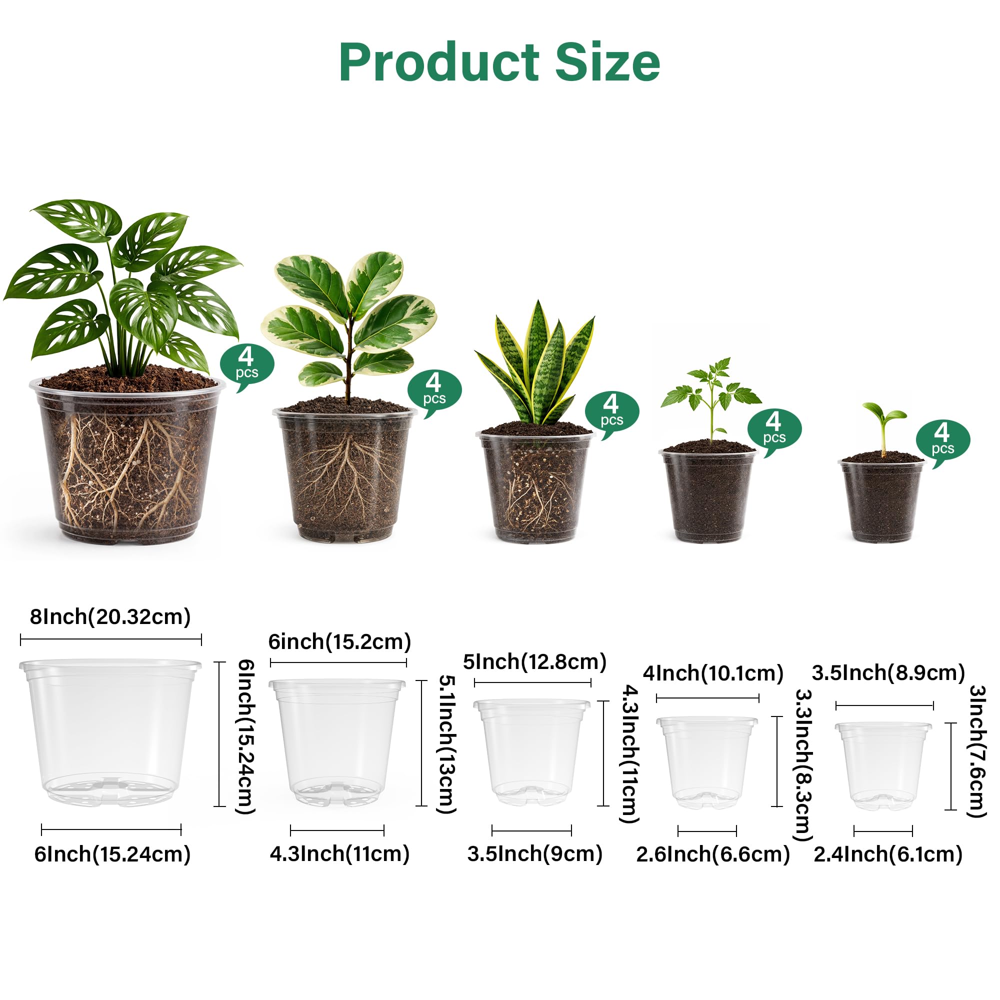 Close-up of Bluepro 3.5-inch clear nursery pot