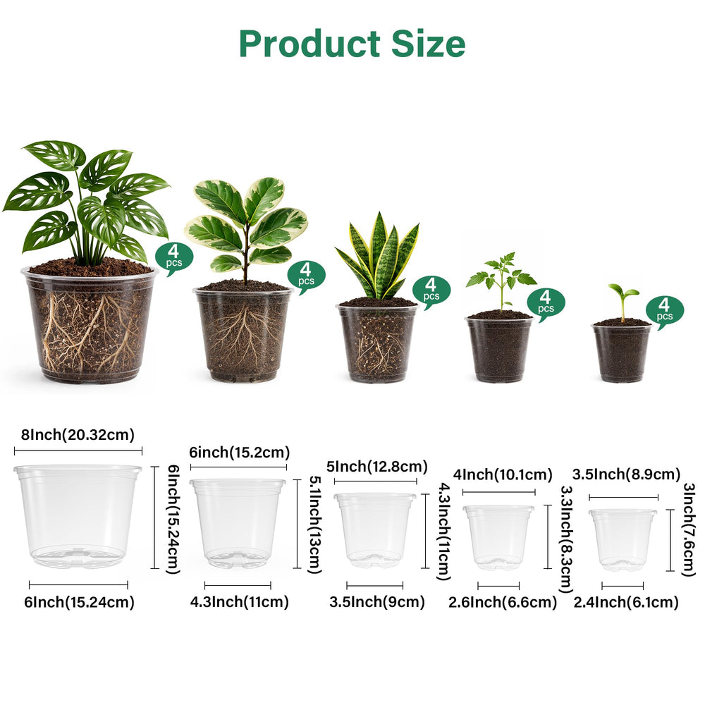 Close-up of Bluepro 3.5-inch clear nursery pot