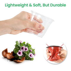 Close-up of Bluepro Clear Nursery Pots drainage openings