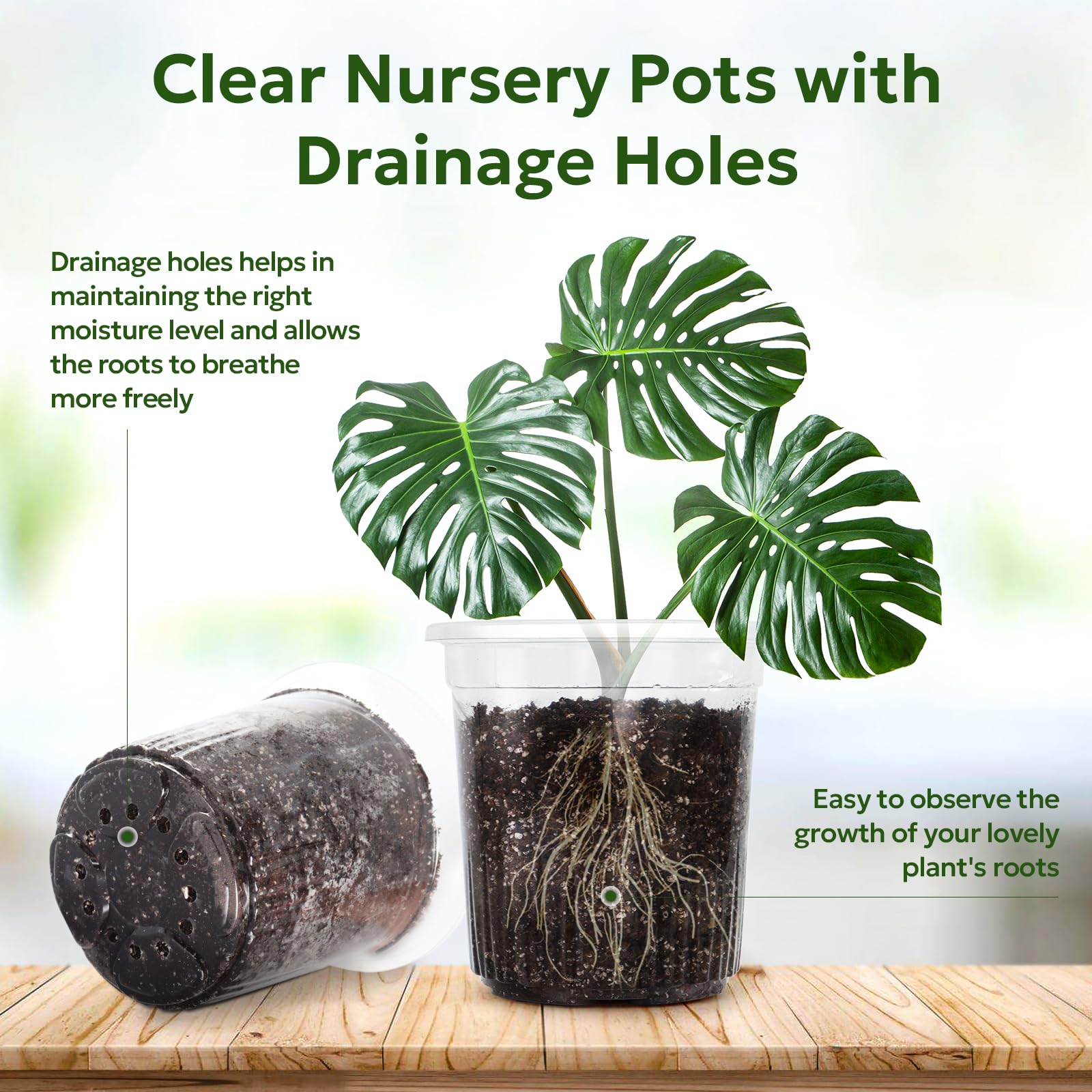 Close-up of Bluepro nursery pot drainage holes