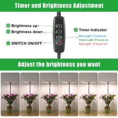 close-up of bodkar Plant Grow Light LEDs