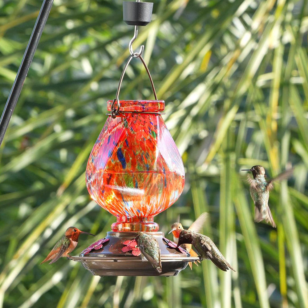 Close-up of BOLITE hummingbird feeder feeding ports